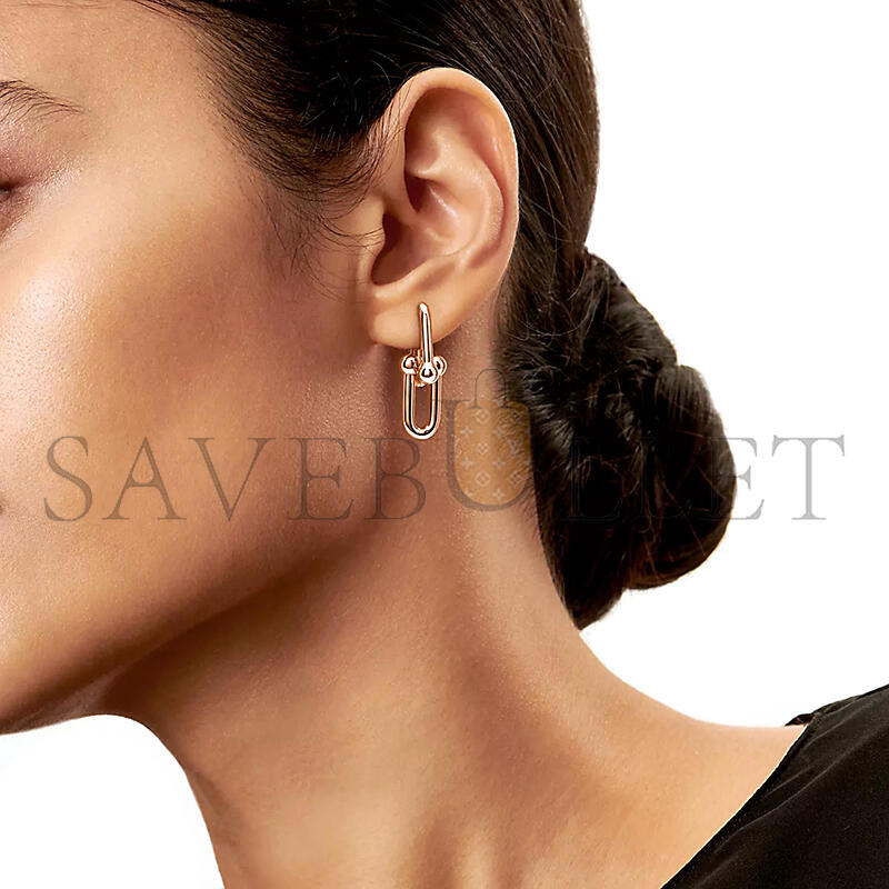 TIFFANY HARDWEAR MEDIUM LINK EARRINGS 73584590